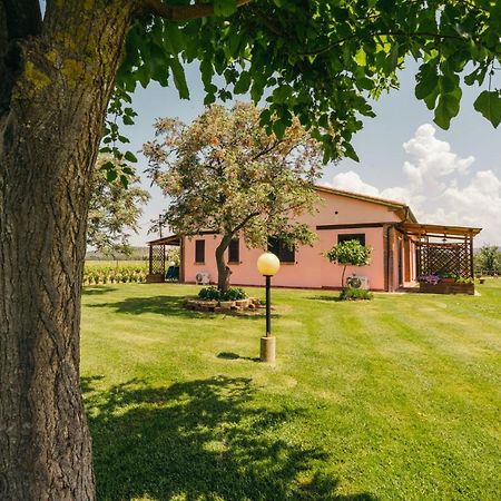 Agriturismo Il Laghetto 格罗塞托 外观 照片