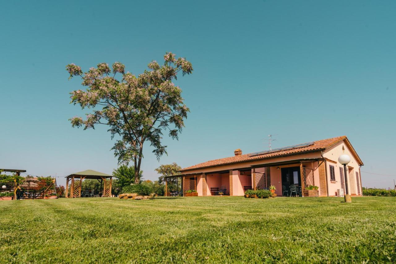 Agriturismo Il Laghetto 格罗塞托 外观 照片