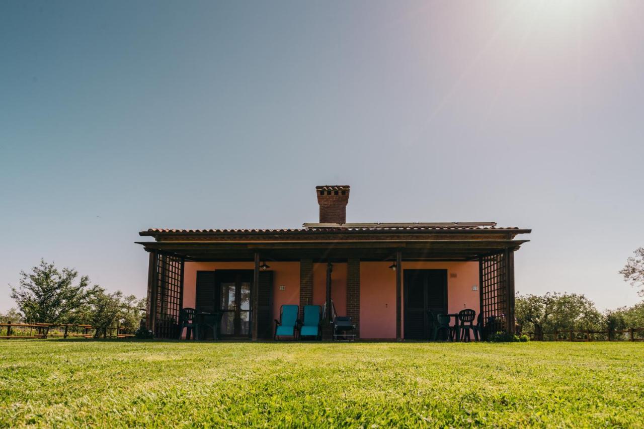 Agriturismo Il Laghetto 格罗塞托 外观 照片
