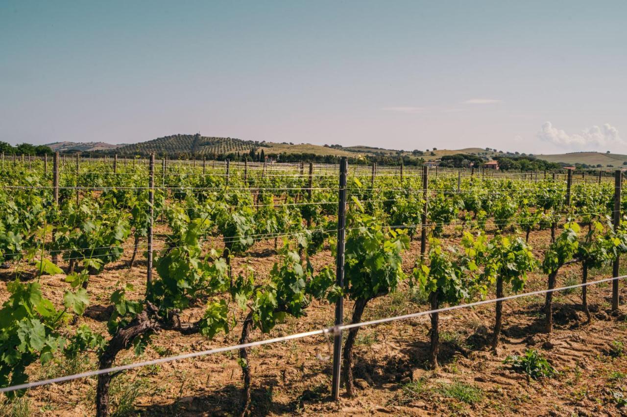 Agriturismo Il Laghetto 格罗塞托 外观 照片