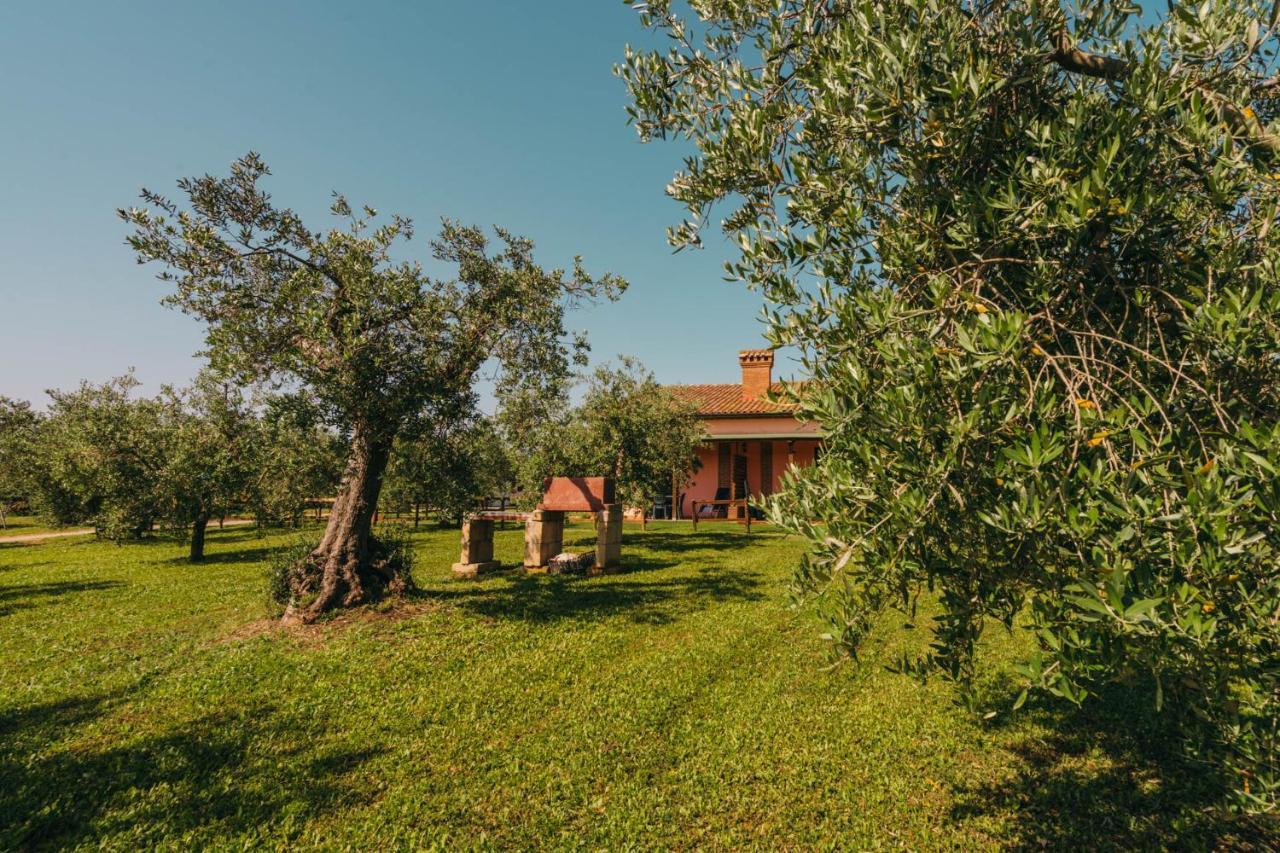 Agriturismo Il Laghetto 格罗塞托 外观 照片